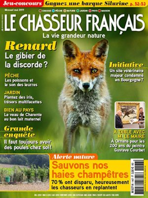 31-le-chasseur-francais