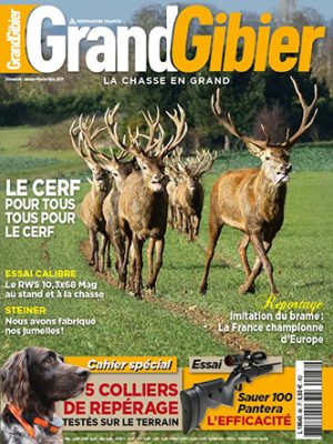33-grand-gibier