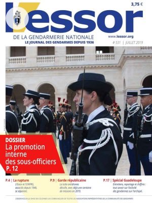 lessor-couv